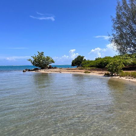 פאפט Villa Ho'A - Bord De Mer Avec Piscine מראה חיצוני תמונה