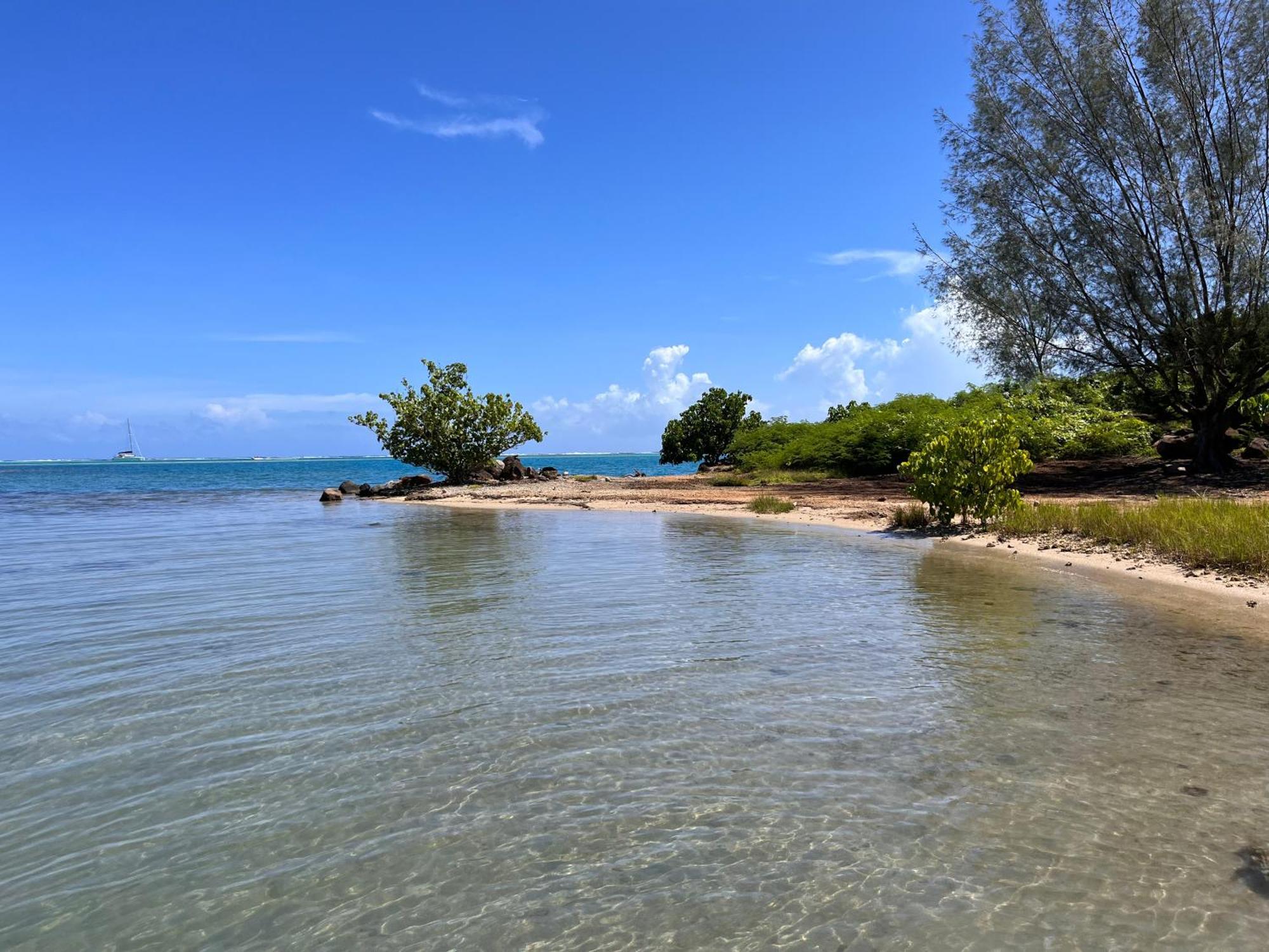 פאפט Villa Ho'A - Bord De Mer Avec Piscine מראה חיצוני תמונה